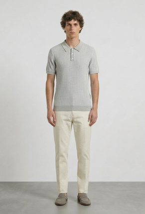 Front image of a model wearing Deep riley stripe polo in grey, by brand Deep