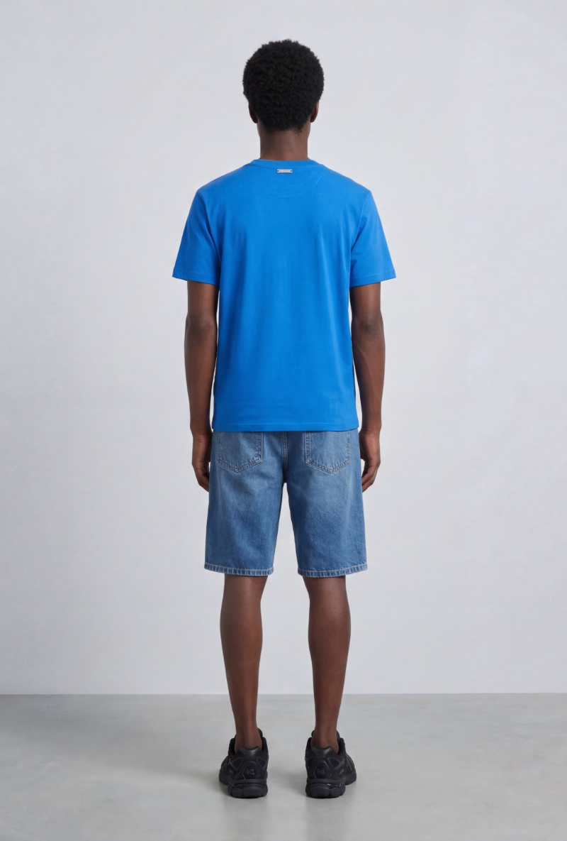 Back image of a model wearing Deep troy s/s tshirt in blue, by brand Deep