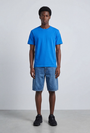 Front image of a model wearing the Deep troy s/s tshirt in blue, by brand Deep