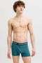 Front image of a model wearing the Jake lemon trunks in navy, by brand Jack&jones