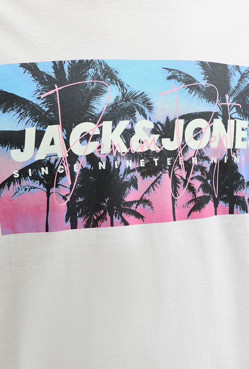 Front image of Indiana tee ss crew neck in beige, by brand Jack&jones