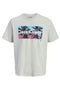 Front image of the Indiana tee ss crew neck in beige, by brand Jack&jones