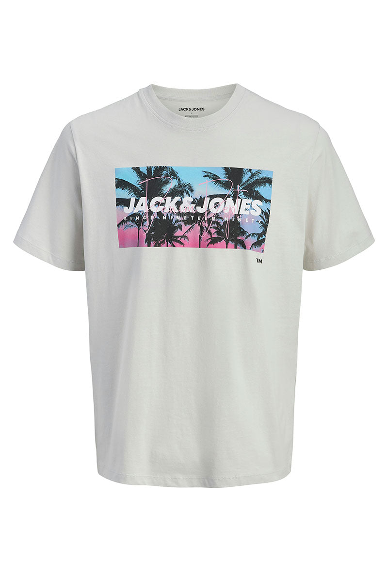 Front image of Indiana tee ss crew neck in beige, by brand Jack&jones