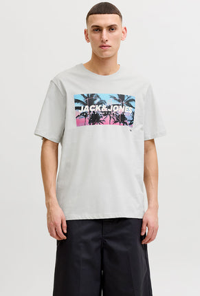 Front image of a model wearing Indiana tee ss crew neck in beige, by brand Jack&jones