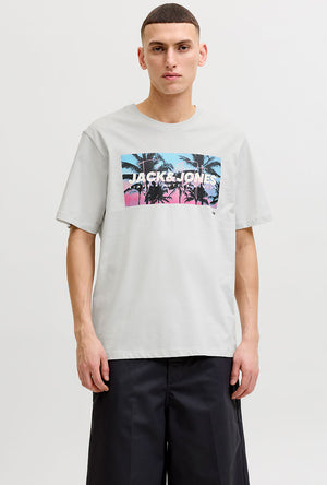 Front image of a model wearing the Indiana tee ss crew neck in beige, by brand Jack&jones