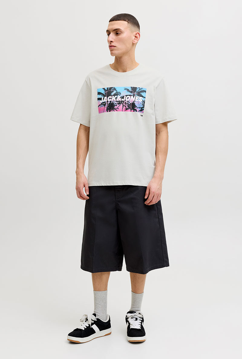 Front image of a model wearing Indiana tee ss crew neck in beige, by brand Jack&jones