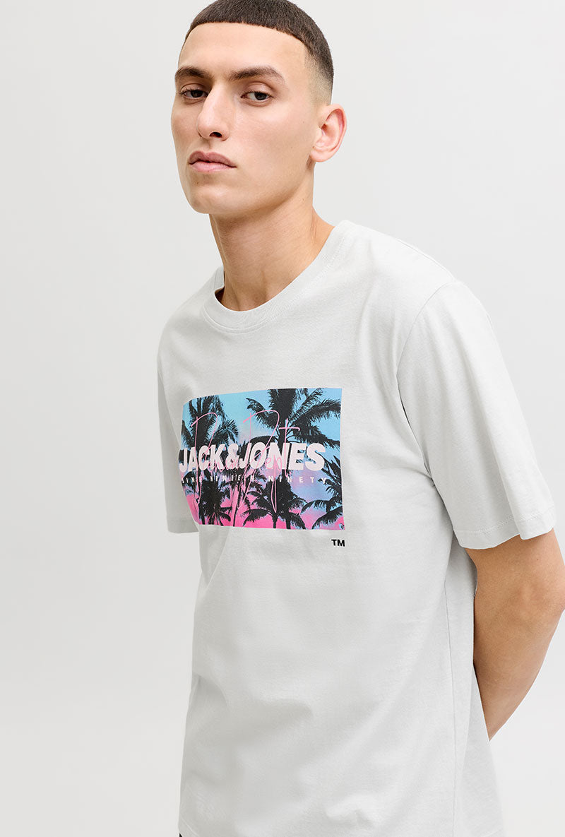 Front image of a model wearing Indiana tee ss crew neck in beige, by brand Jack&jones