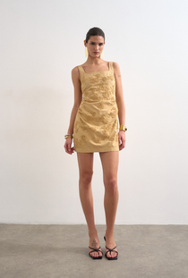 Front image of the Nina sleeveless mini dress in beige, by brand Top shop