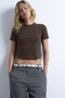 Front image of a model wearing the Everyday crop top in chocolate, by brand Top shop