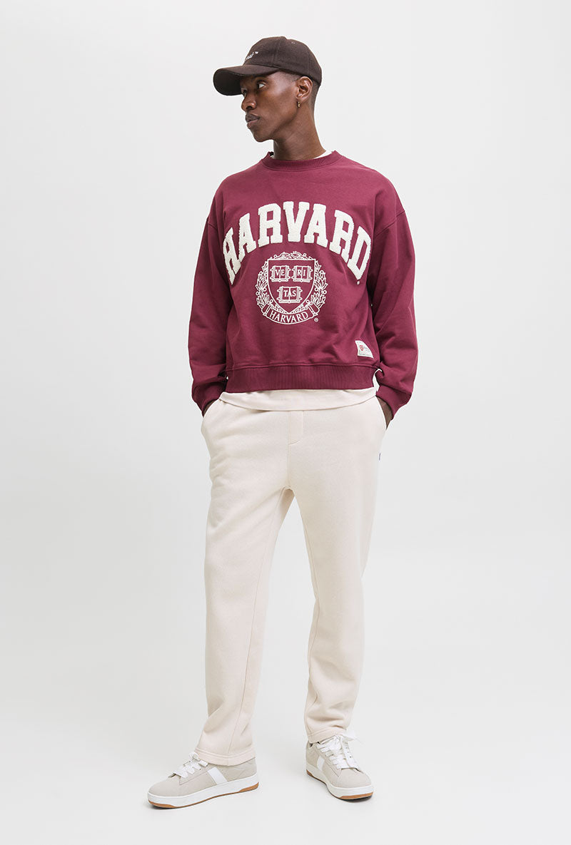 Front image of Kane bradley uncuffed sweat pants in beige, by brand Jack&jones