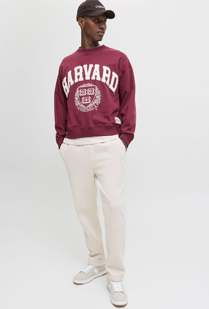 Front image of Kane bradley uncuffed sweat pants in beige, by brand Jack&jones