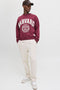 Front image of the Kane bradley uncuffed sweat pants in beige, by brand Jack&jones