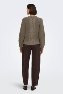 Back image of a model wearing the Carmella ls cable knit cardigan in brown, by brand Jacqueline de yong
