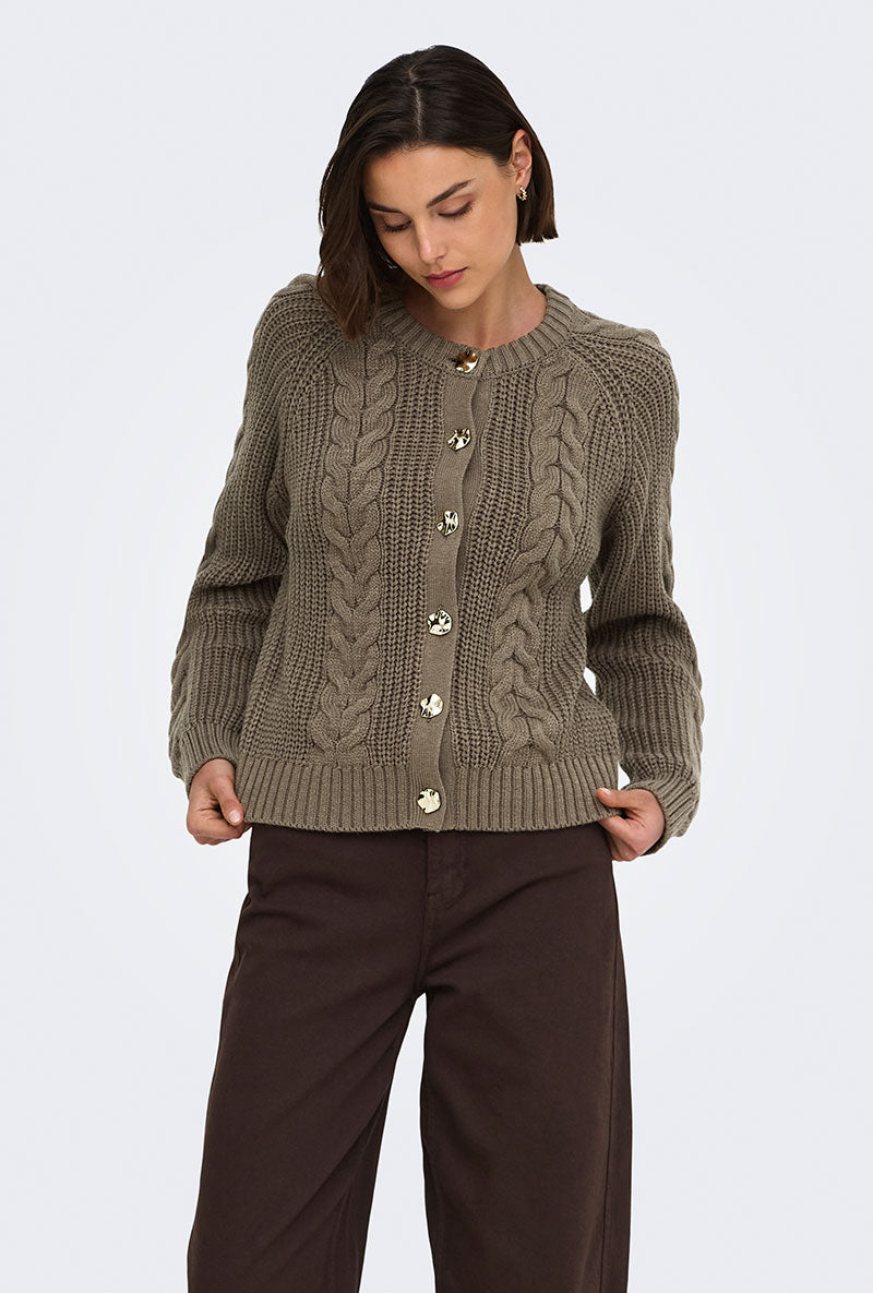 Front image of a model wearing Carmella ls cable knit cardigan in brown, by brand Jacqueline de yong