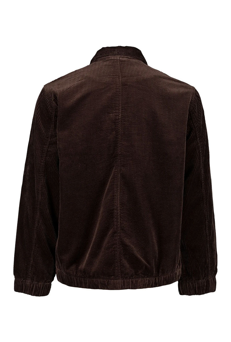 Back image of Seersucker corduroy zip jacket in brown, by brand Lindbergh