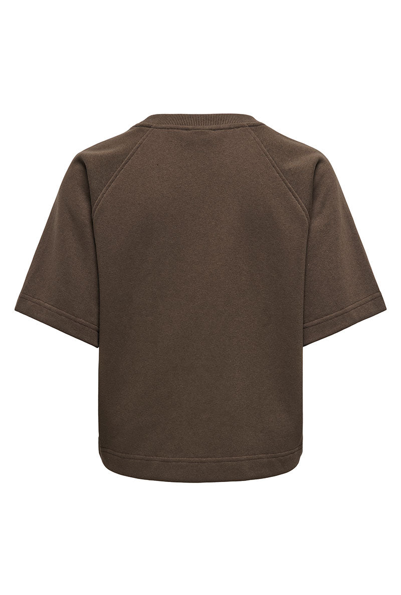 Back image of Ofelia ss raglan sweatshirt in brown, by brand Only