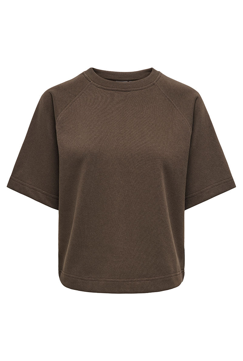 Front image of Ofelia ss raglan sweatshirt in brown, by brand Only