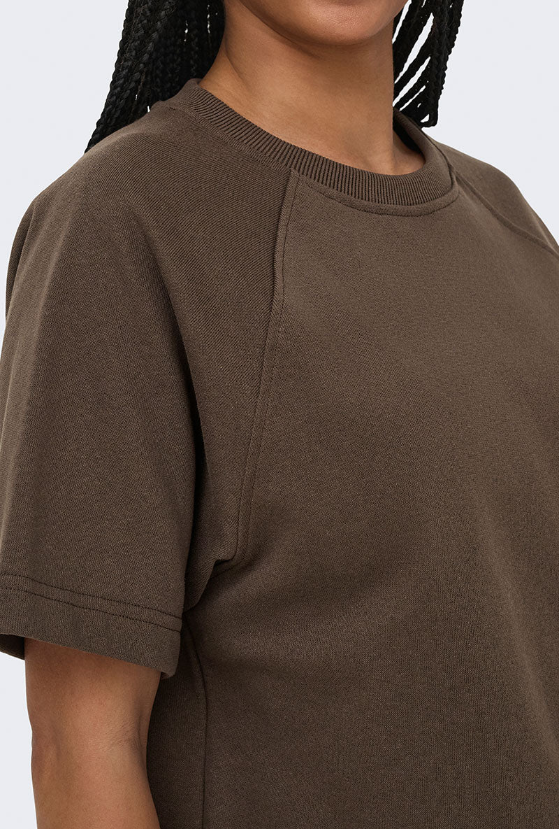 Front image of a model wearing Ofelia ss raglan sweatshirt in brown, by brand Only